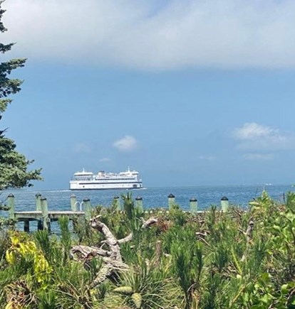Oak Bluffs Martha's Vineyard vacation rental - Watch the ferry and boats go by...