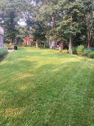 Oak Bluffs Martha's Vineyard vacation rental - Backyard and grill area