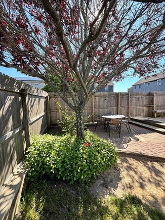 Vineyard Haven Martha's Vineyard vacation rental - Fenced in backyard with privacy, greenery and a grill.