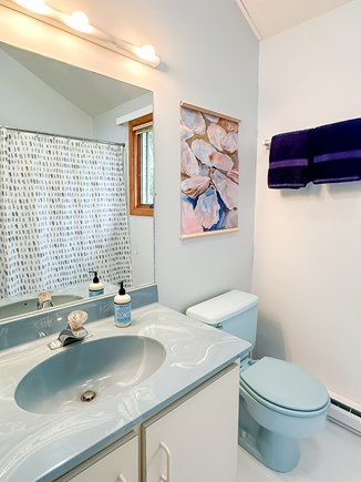 Edgartown Martha's Vineyard vacation rental - Second floor bath with tub + shower