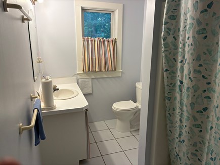 Oak Bluffs Martha's Vineyard vacation rental - First floor bathroom with tub shower