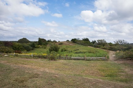 Chilmark Martha's Vineyard vacation rental - View from the property