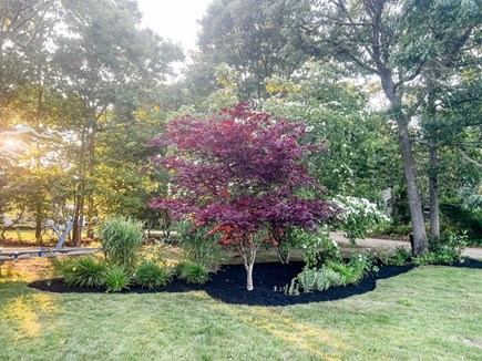 Edgartown Martha's Vineyard vacation rental - Beautiful gardens