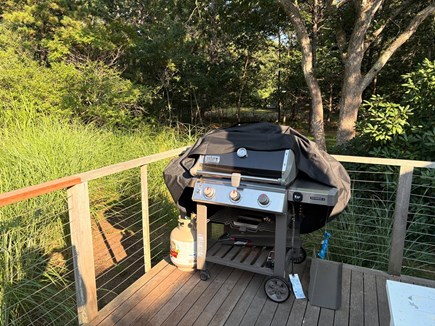 West Tisbury Martha's Vineyard vacation rental - Outdoor Weber grill