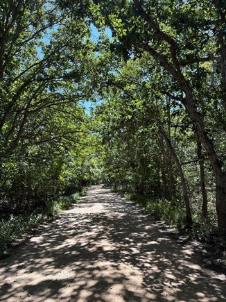 West Tisbury Martha's Vineyard vacation rental - Picturesque street in quiet neighborhood with bike trail nearby