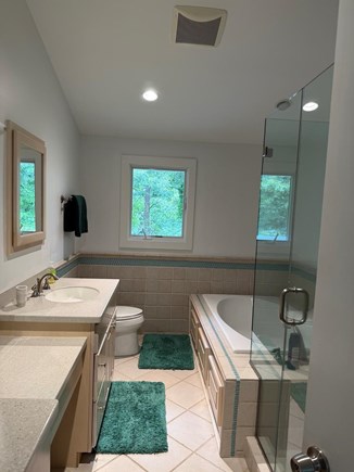 Vineyard Haven Martha's Vineyard vacation rental - Master Bathroom
