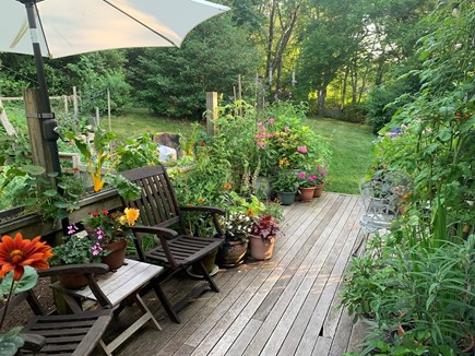 Chilmark Martha's Vineyard vacation rental - Rear Garden Deck