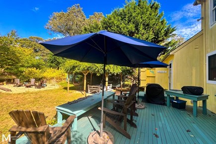 West Tisbury Martha's Vineyard vacation rental - Backyard