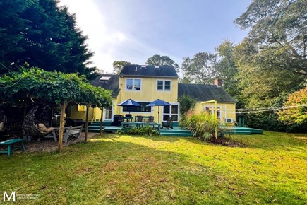 West Tisbury Martha's Vineyard vacation rental - Backyard