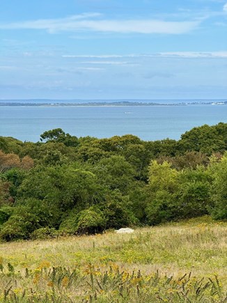 West Tisbury Martha's Vineyard vacation rental - Back View from House