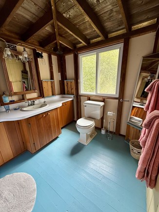West Tisbury Martha's Vineyard vacation rental - Camp section of house full bathroom