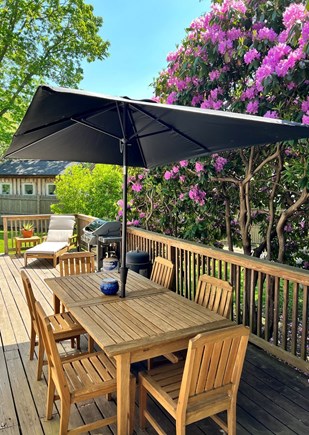 Oak Bluffs Martha's Vineyard vacation rental - Deck off kitchen