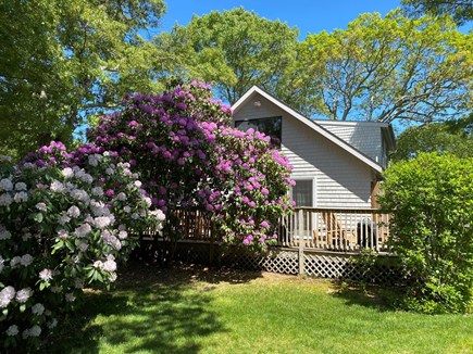 Oak Bluffs Martha's Vineyard vacation rental - Side view of property