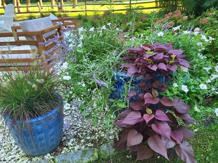 Oak Bluffs Martha's Vineyard vacation rental - Beautifully landscaped property