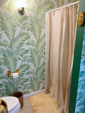 Edgartown Martha's Vineyard vacation rental - Bathroom (shower)