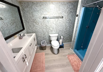 Oak Bluffs Martha's Vineyard vacation rental - Master Bath