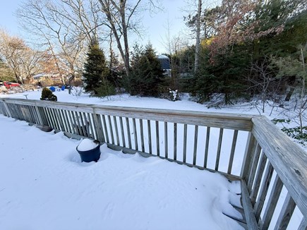 Oak Bluffs Martha's Vineyard vacation rental - Spacious back yard - will replace photo in spring