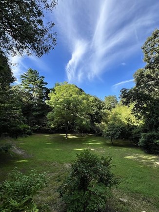 West Tisbury Martha's Vineyard vacation rental - Lower Yard (View from Deck)