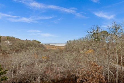 Oak Bluffs Martha's Vineyard vacation rental - Enjoy the Views