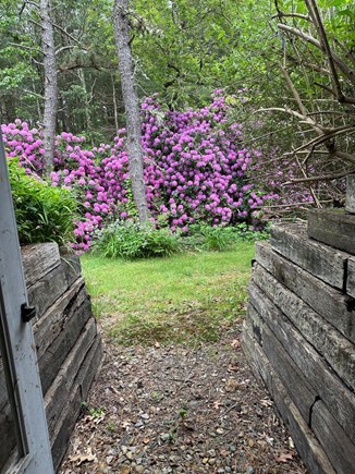 West Tisbury Martha's Vineyard vacation rental - Back Yard enterance