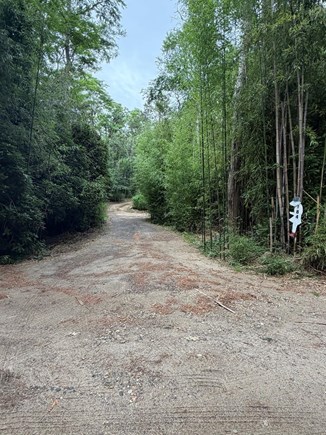West Tisbury Martha's Vineyard vacation rental - Driveway