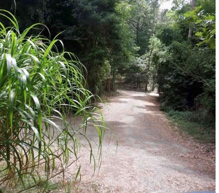 West Tisbury Martha's Vineyard vacation rental - Long private driveway