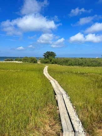 Edgartown, Chappaquiddick Martha's Vineyard vacation rental - Board walk across a salt marsh to private Cape Poge beach