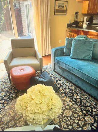 Vineyard Haven Martha's Vineyard vacation rental - Comfortable couch and living room