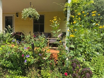 West Tisbury Martha's Vineyard vacation rental - The serene outdoor front garden - butterflies & hummingbirds !
