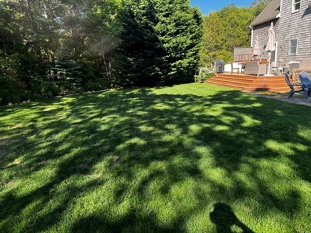 West Tisbury Martha's Vineyard vacation rental - Backyard, completely fenced in
