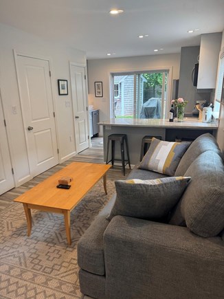 Edgartown, Guest House Martha's Vineyard vacation rental - Living area