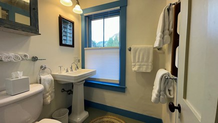 West Tisbury, Martha's Vineyar Martha's Vineyard vacation rental - Bright, airy bathroom with charming vintage details