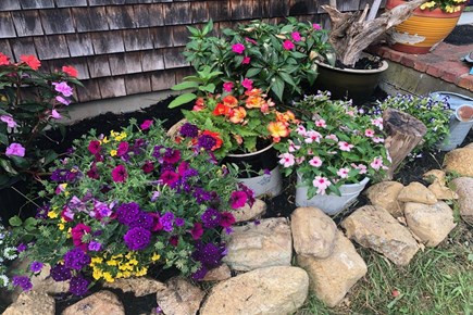 Oak Bluffs Martha's Vineyard vacation rental - Lovely plantings