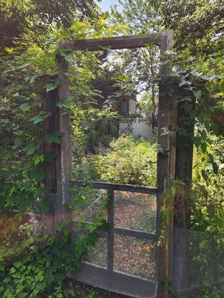Vineyard Haven Martha's Vineyard vacation rental - Secret garden