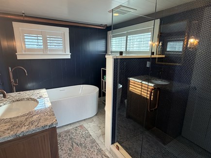 Oak Bluffs, Ocean Park Newly Renovated Hom Martha's Vineyard vacation rental - 