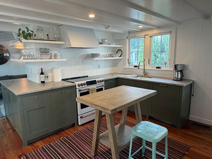 Oak Bluffs, Ocean Park Newly Renovated Hom Martha's Vineyard vacation rental - 
