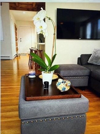 Oak Bluffs, Lagoon Estates Martha's Vineyard vacation rental - Family area with TV