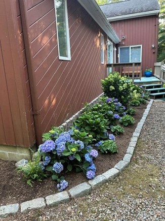 Oak Bluffs, Lagoon Estates Martha's Vineyard vacation rental - Enjoy sipping your morning coffee on the front porch.
