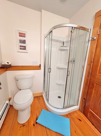 West Tisbury Martha's Vineyard vacation rental - Bathroom/Shower for Lower Bedroom