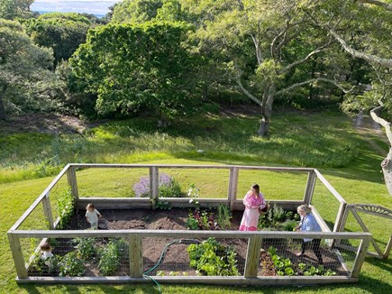 West Tisbury Martha's Vineyard vacation rental - Vegetable garden