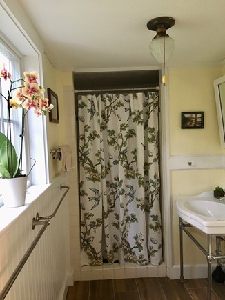 Oak Bluffs Martha's Vineyard vacation rental - Downstairs bath, large tiled shower