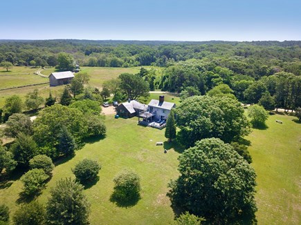 West Tisbury Martha's Vineyard vacation rental - Five acres of open space, trees, and ancient stone walls.