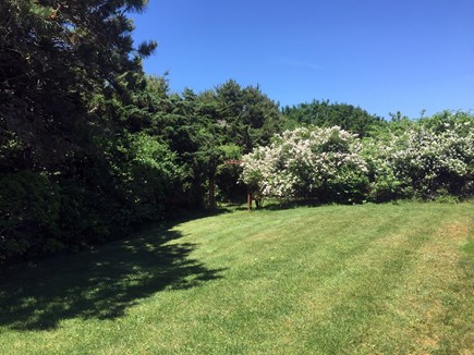 Cisco - Miacomet, Nantucket Nantucket vacation rental - Side Garden