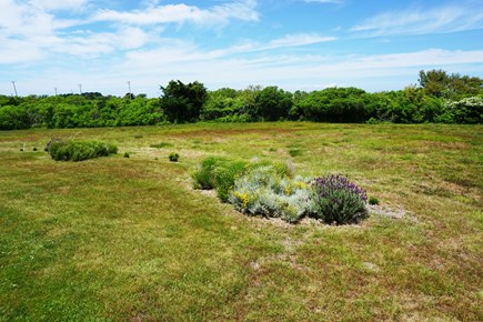 Madaket Nantucket vacation rental - North Field in Front of House
