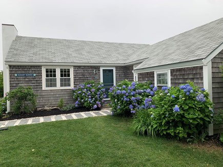 Madaket, Nantucket Nantucket vacation rental - Hydrangea in full bloom - Welcome!