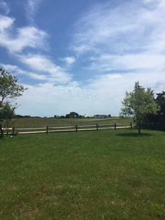 Cisco - Miacomet, Adjacent to Miacomet Golf Nantucket vacation rental - Back yard looking at 18th green of Miacomet GC