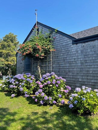 Mid-island Nantucket vacation rental - Roomy side yard - perfect for a croquet game or the pup