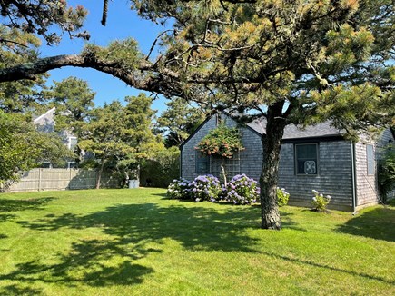 Mid-island Nantucket vacation rental - View of house from side yard