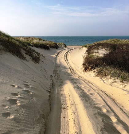Madaket, Nantucket Nantucket vacation rental - 40th pole beach 1/2 to 3/4 mi walk over moors & dunes