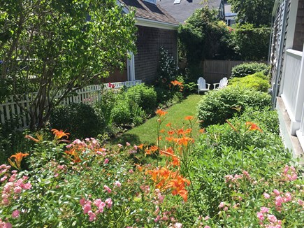 Nantucket town Nantucket vacation rental - Lilies and Roses